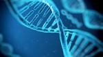 dna-structure